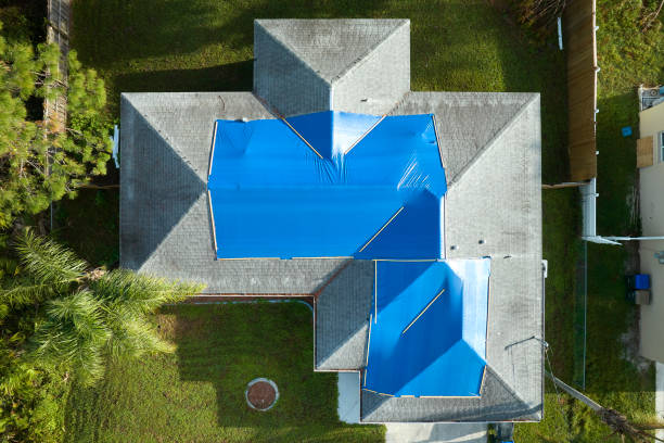 Best Roof Insulation Installation  in Miami Gardens, FL